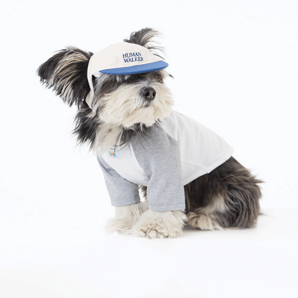 Dog Ball Cap(4COLOR)