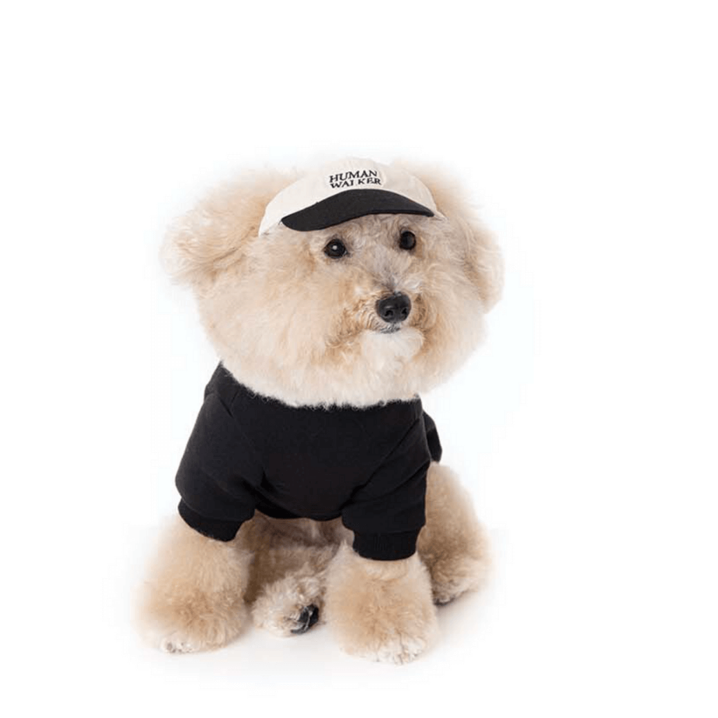 Dog Sweatshirt (Black)
