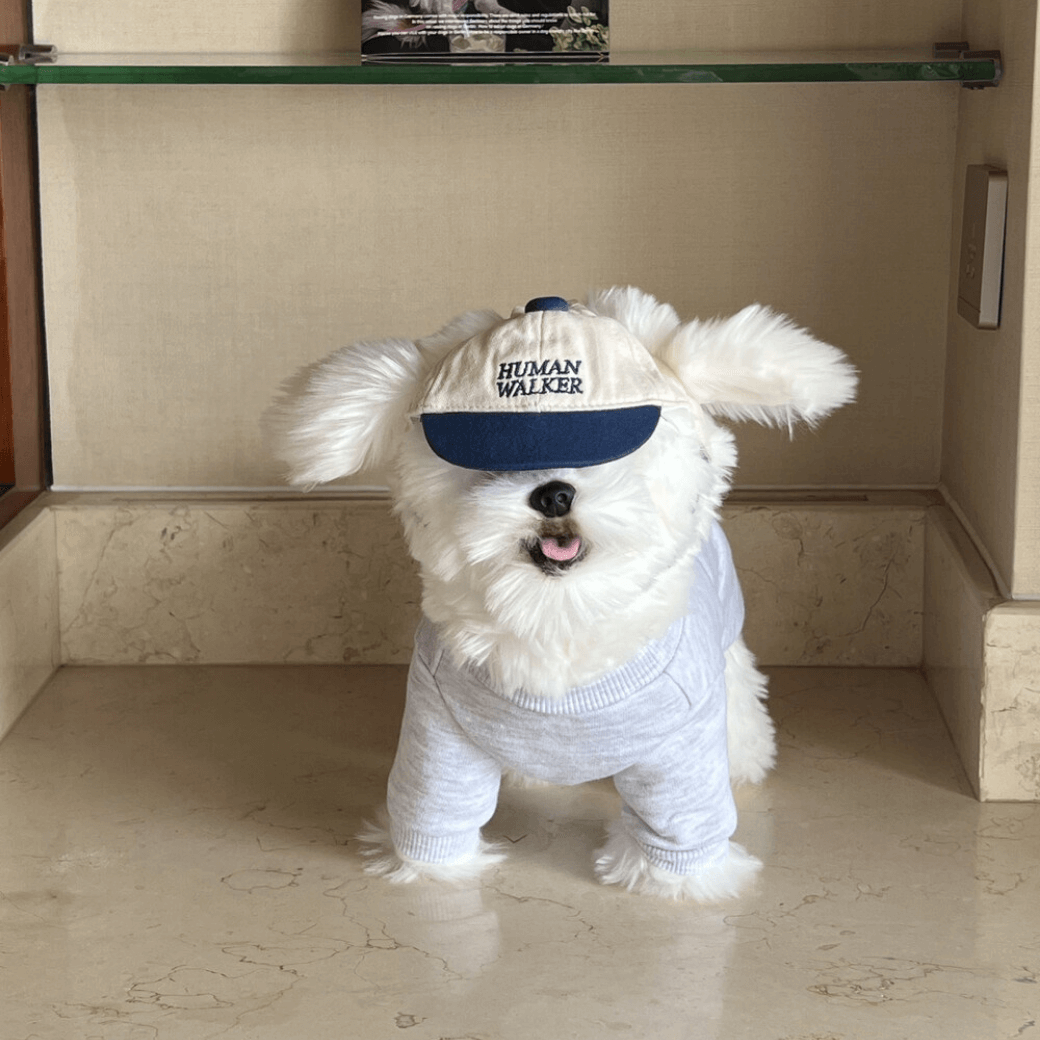 Dog Sweatshirt (Grey)