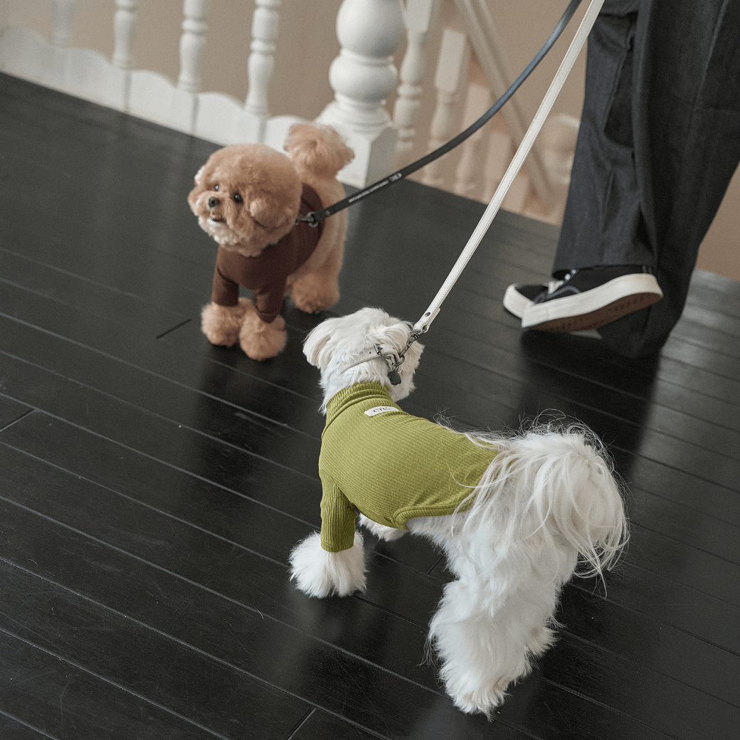 Organic Modal T-shirt (2color)