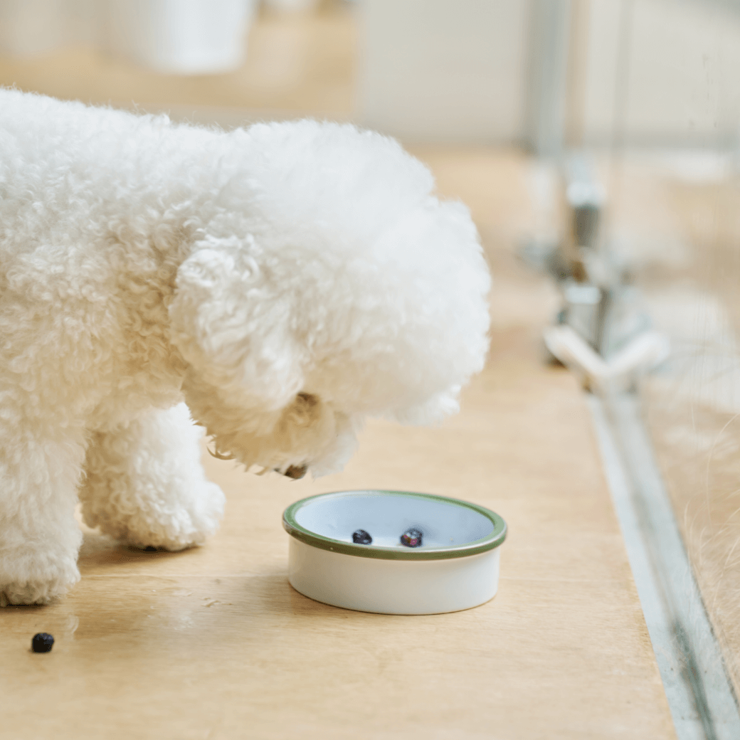 Line Bowl S (5color)