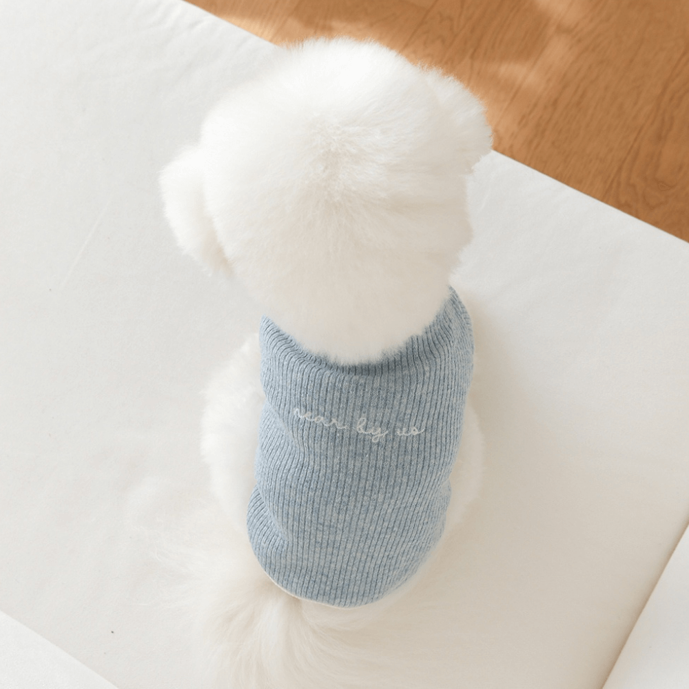 palette wool knit top (cloud blue)