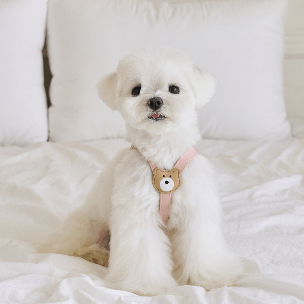 BEAR HARNESS(Indi Pink)