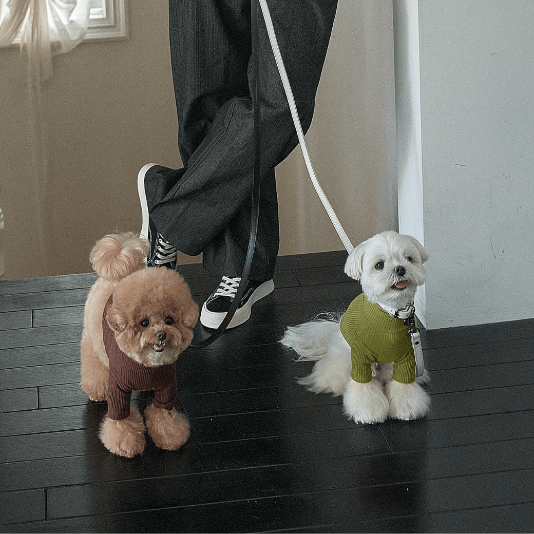 Organic Modal T-shirt (2color)