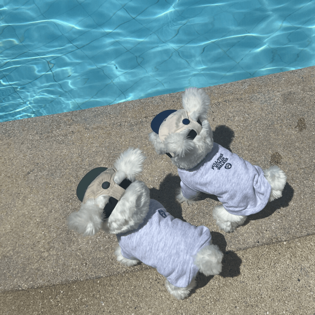 Dog Sweatshirt (Grey)