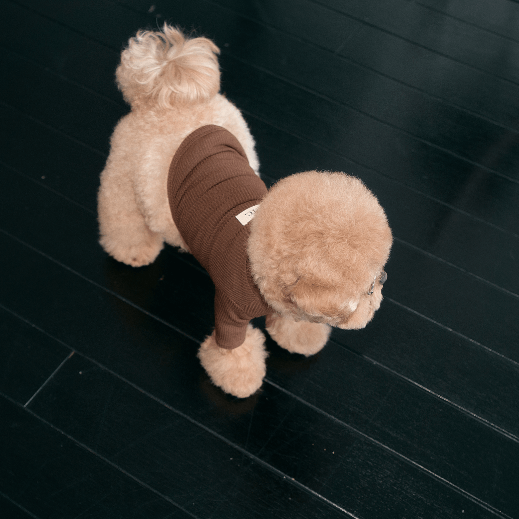 Organic Modal T-shirt (2color)