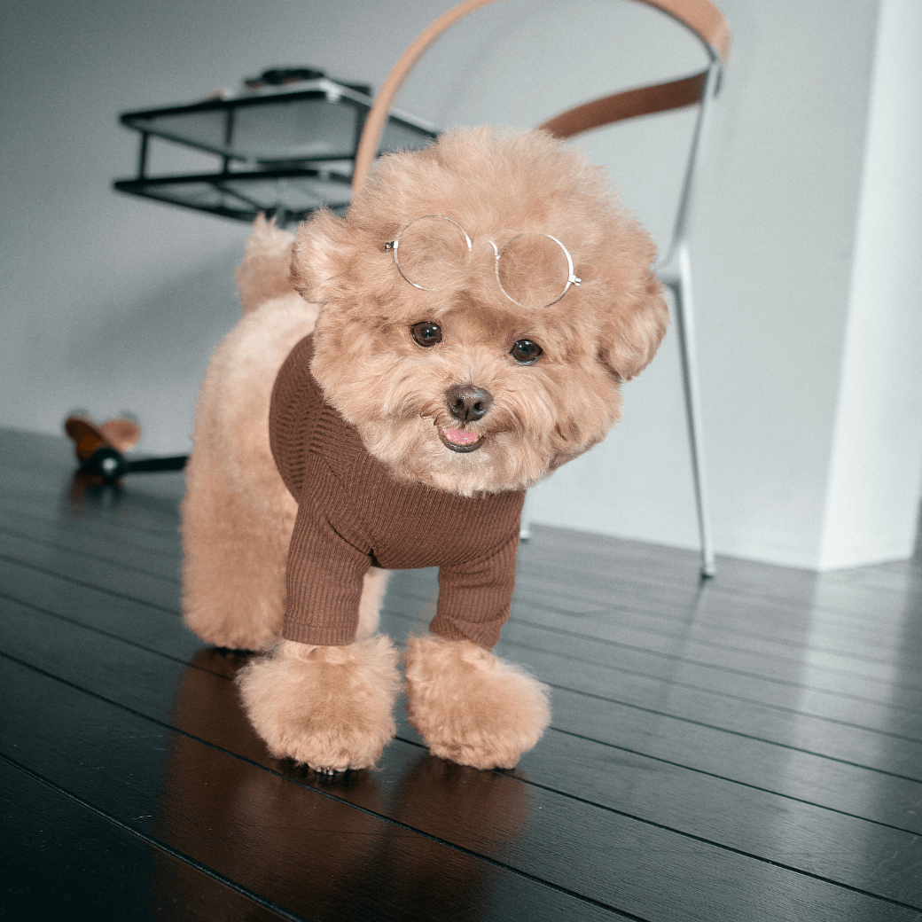 Organic Modal T-shirt (2color)