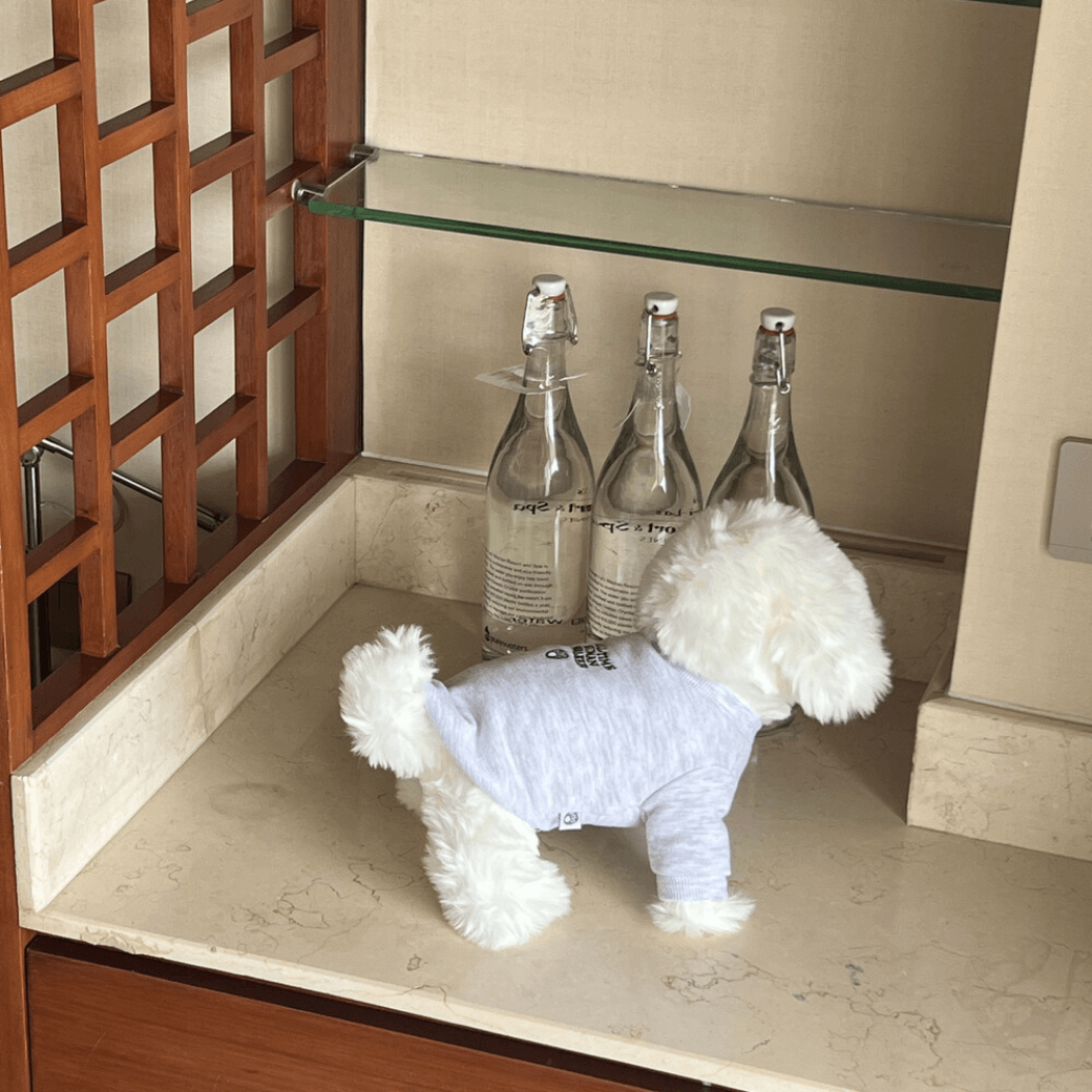 Dog Sweatshirt (Grey)
