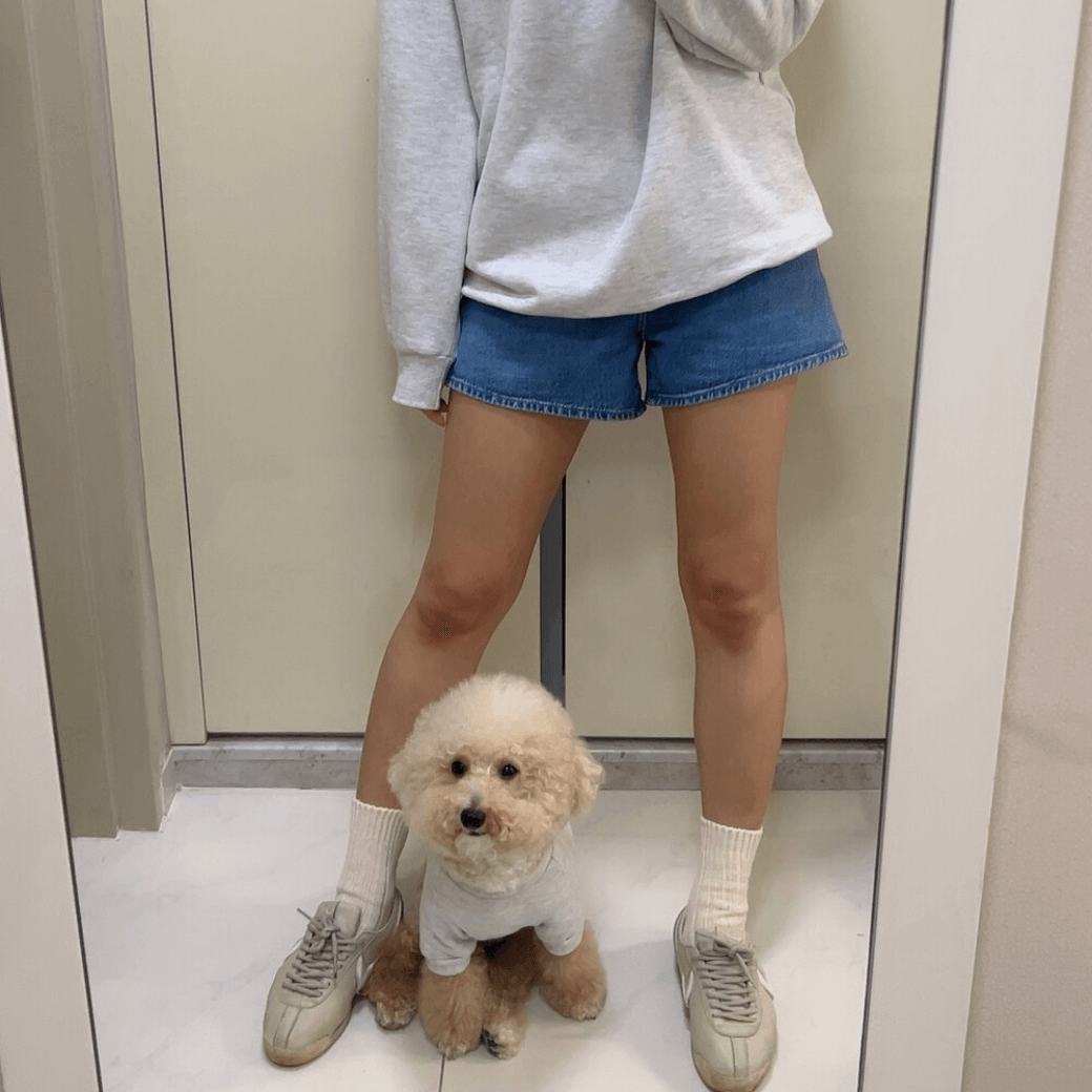 Dog Sweatshirt (Grey)