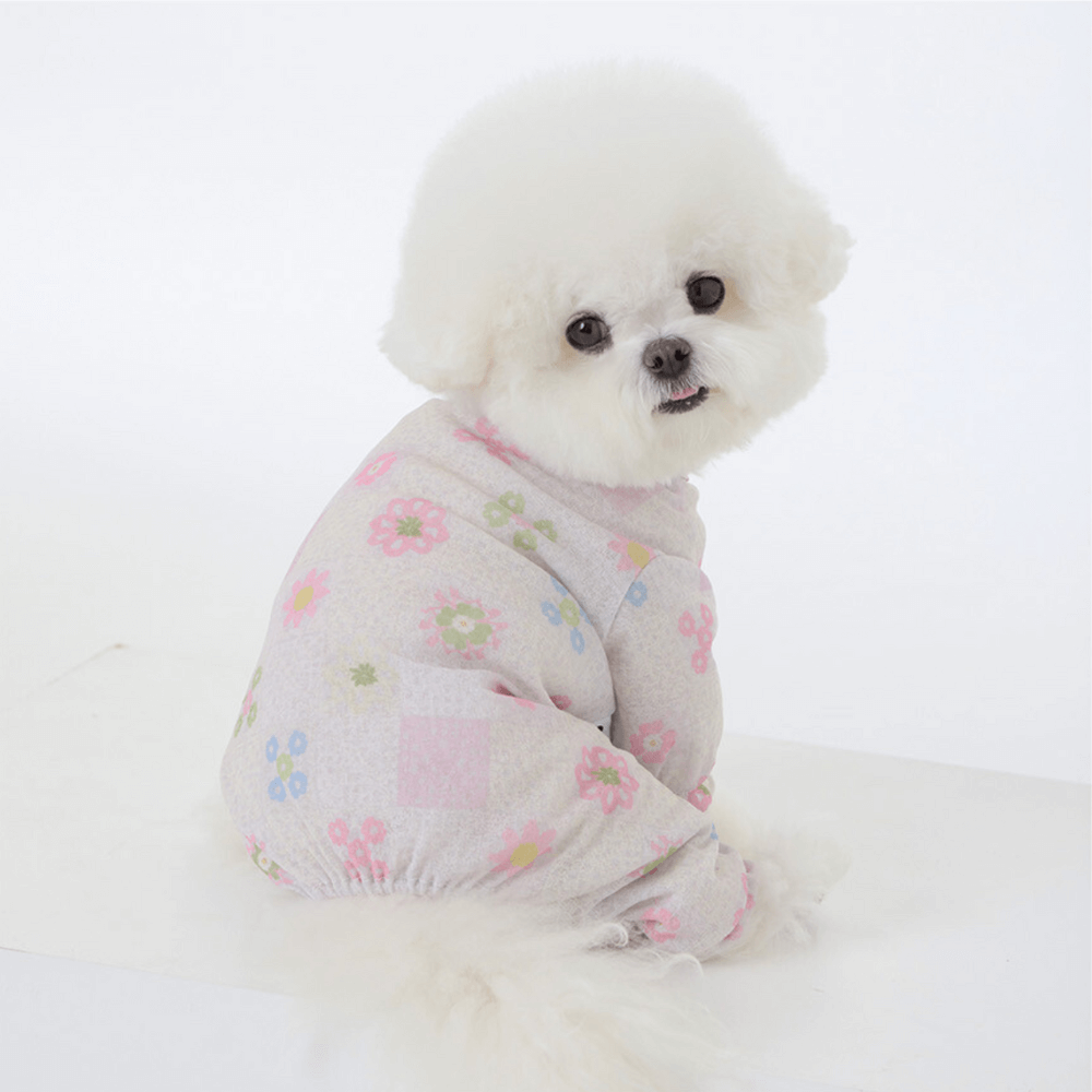 FRILL-FRILL AIRY SHIELD ONESIE(ALL-IN-ONE)