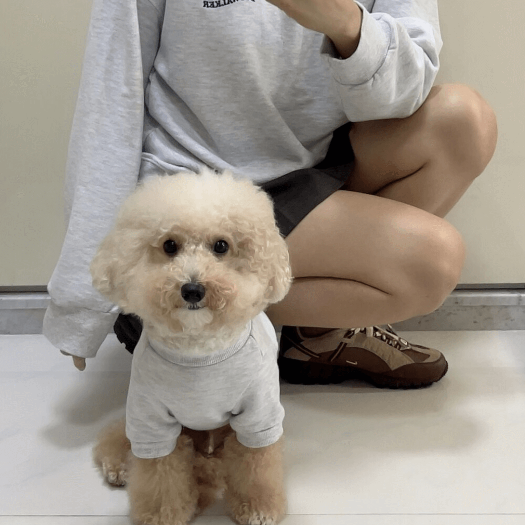 Dog Sweatshirt (Grey)
