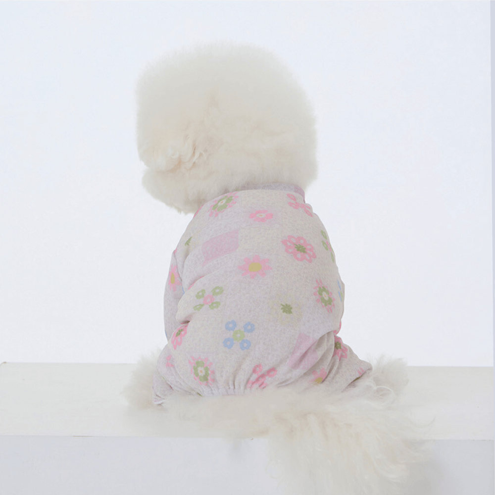 FRILL-FRILL AIRY SHIELD ONESIE(ALL-IN-ONE)