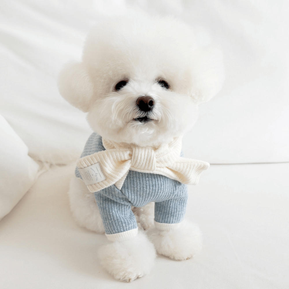 palette wool knit top (cloud blue)