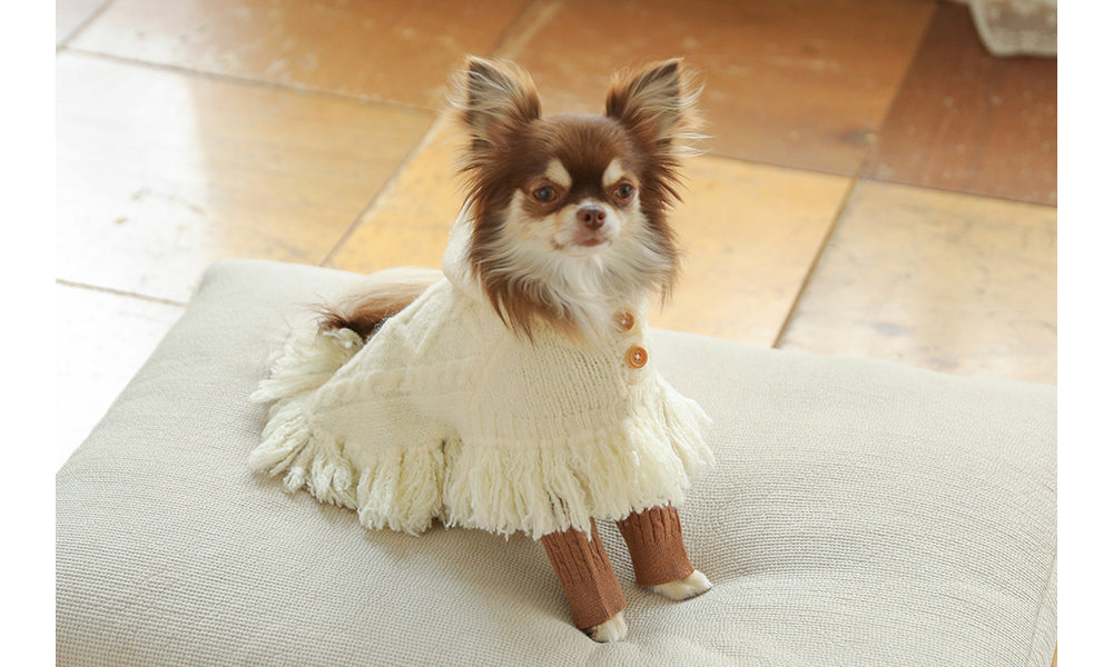 ポンチョニットコート(アイボリー)