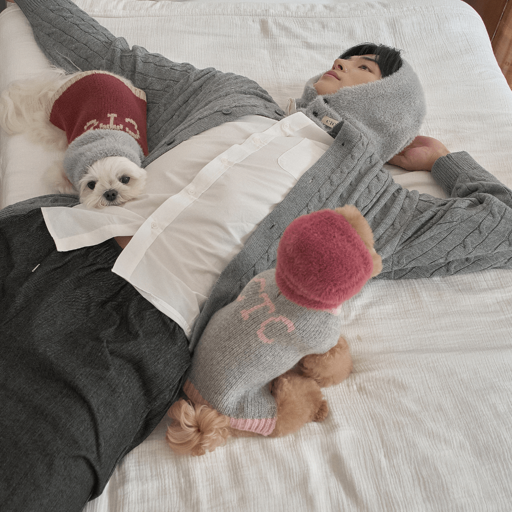 Winter Snuggle Balaclava Gray (for dog / for human)