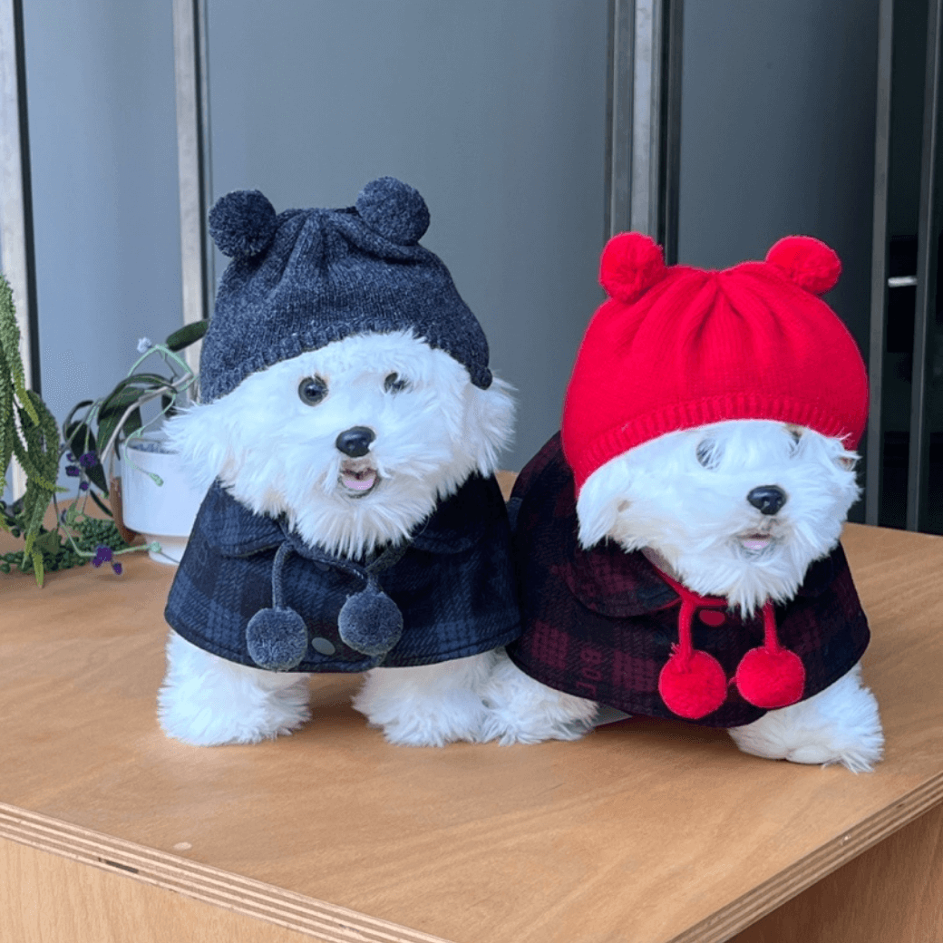 Reversible wool puppy pom-pom coat (Gray)