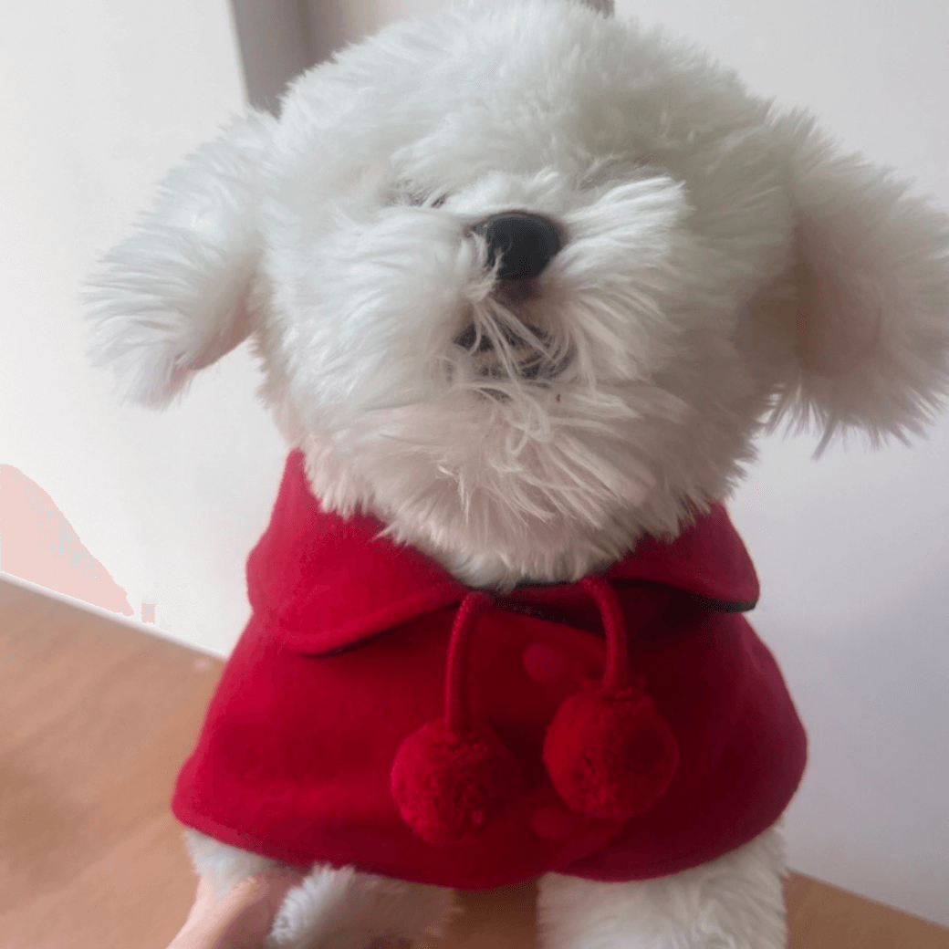 Reversible wool puppy pom-pom coat (Red)