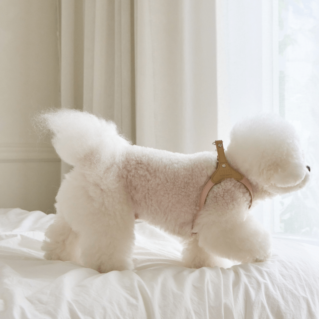 BEAR HARNESS(Indi Pink)