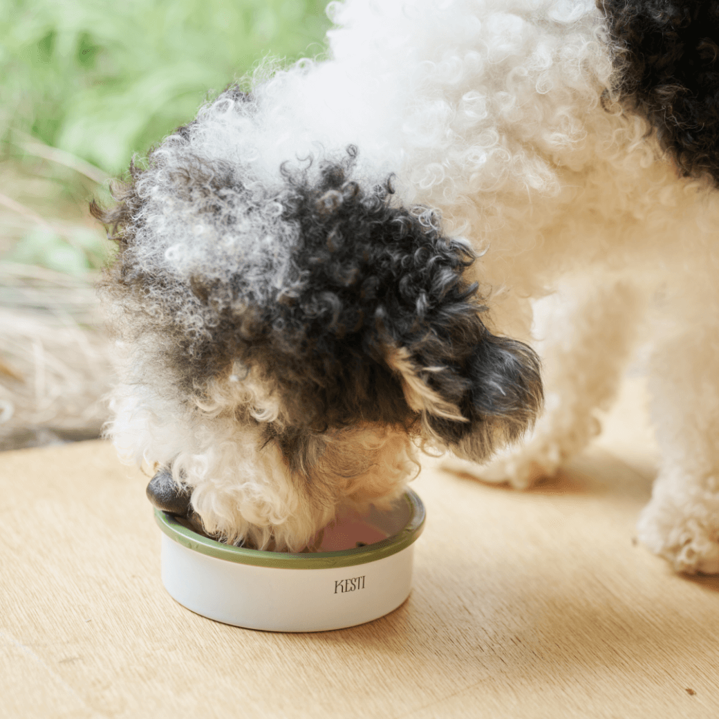 Line Bowl S (5color)