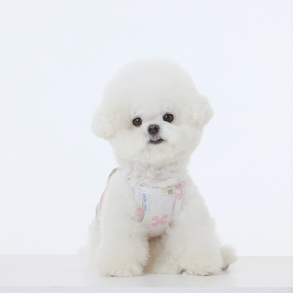 FRILL-FRILL COOL CROP SWIM T-SHIRT