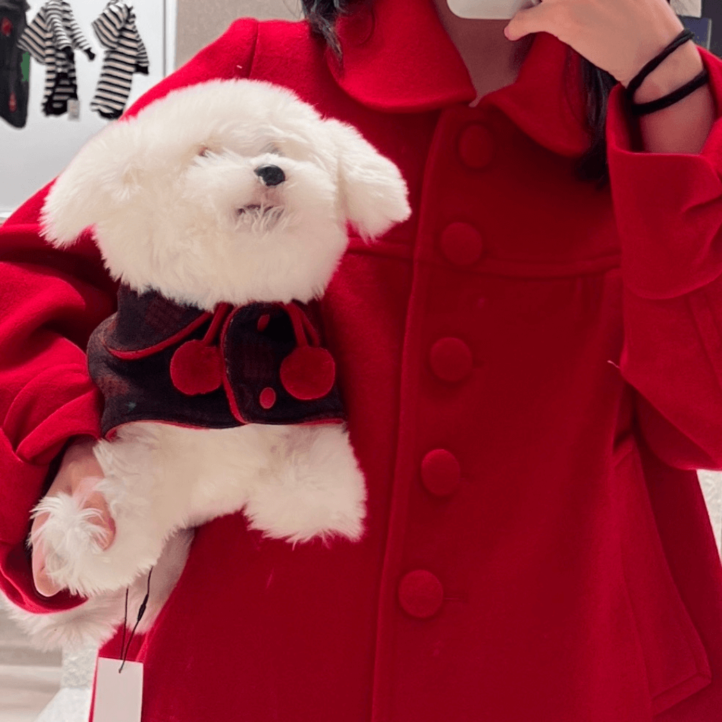 Reversible wool puppy pom-pom coat (Red)