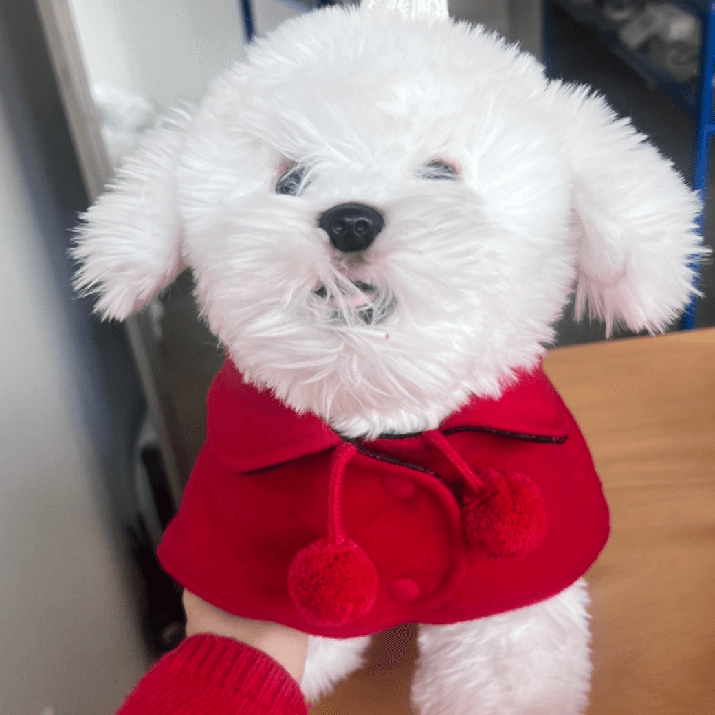 Reversible wool puppy pom-pom coat (Red)