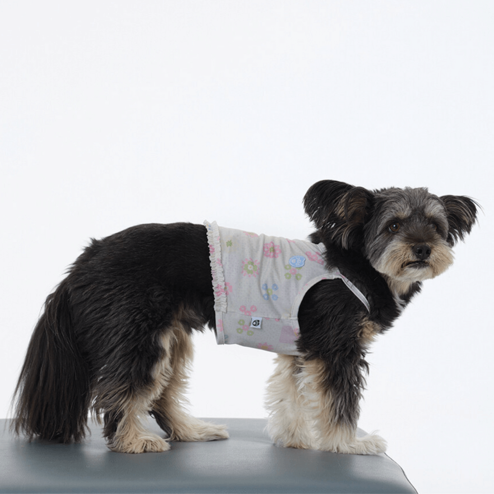 FRILL-FRILL COOL CROP SWIM T-SHIRT