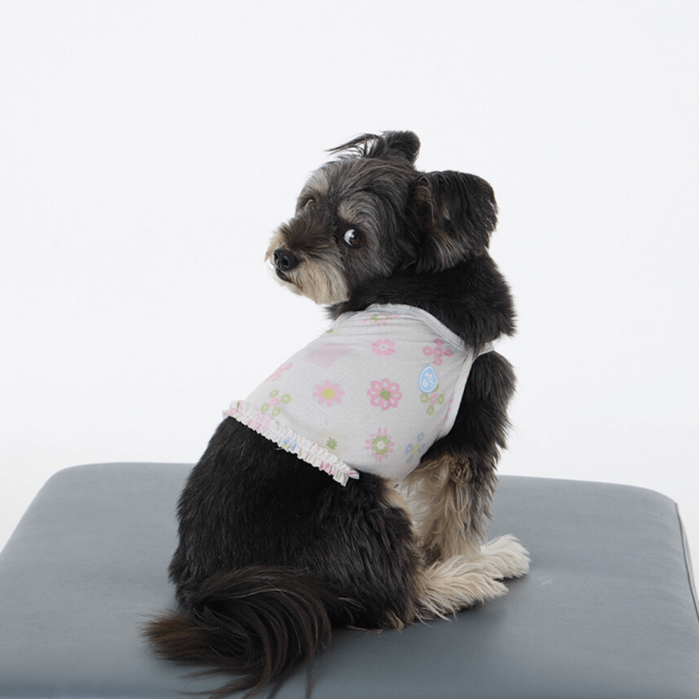 FRILL-FRILL COOL CROP SWIM T-SHIRT