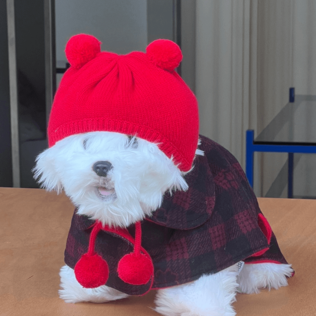 Reversible wool puppy pom-pom coat (Red)