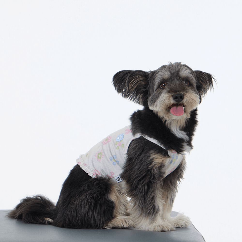 FRILL-FRILL COOL CROP SWIM T-SHIRT