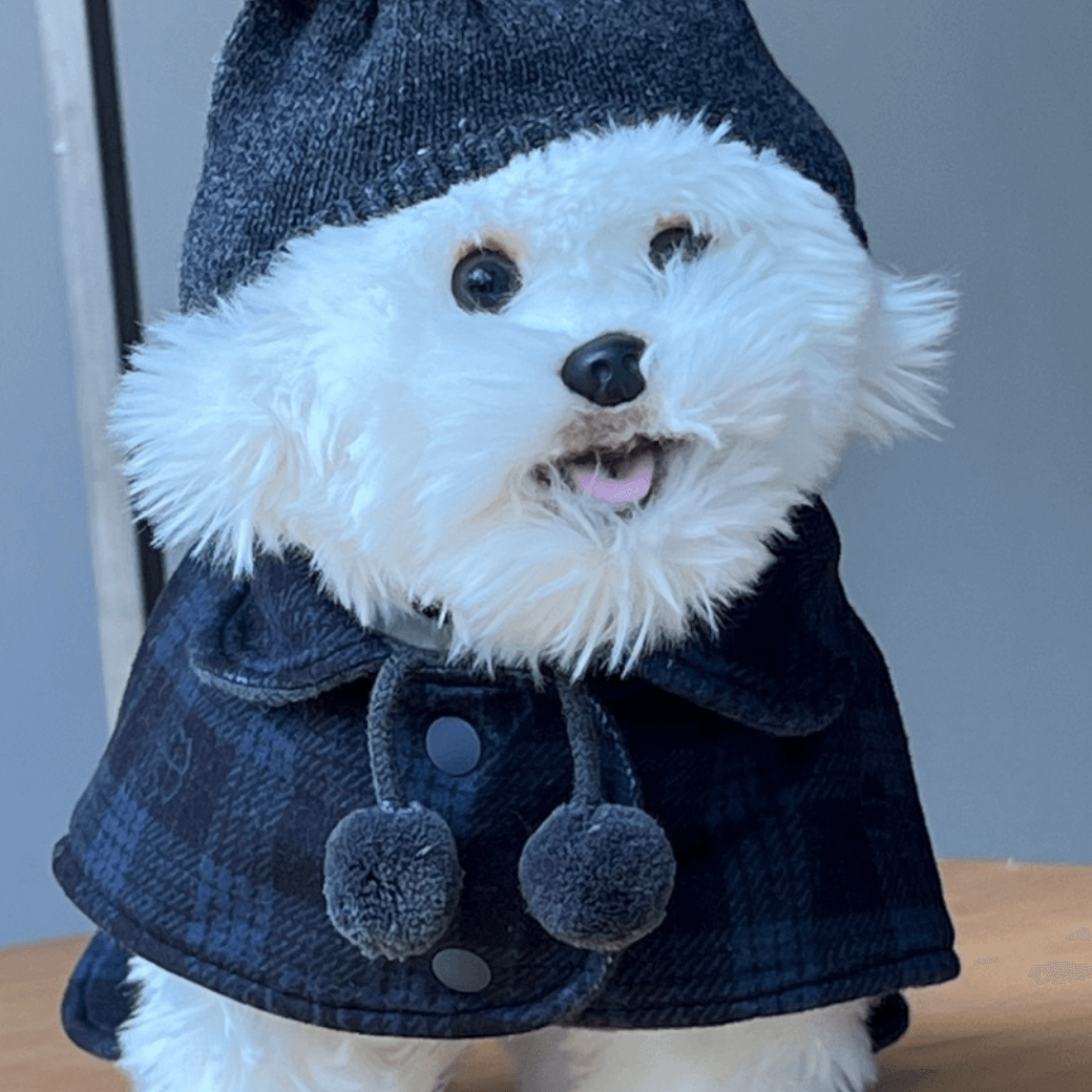 Reversible wool puppy pom-pom coat (Gray)