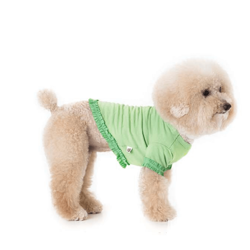 【予約】WARM FRILL-FRILL T(GREEN)