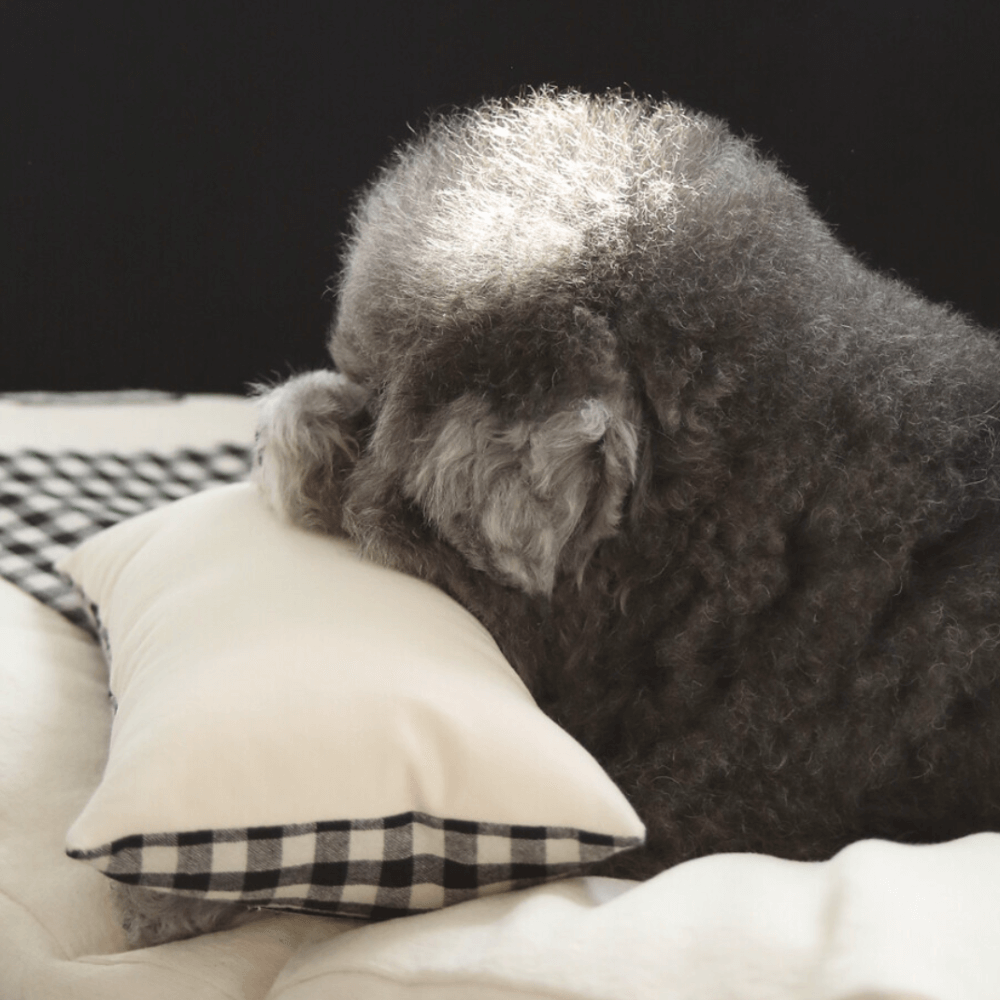 Mini Square Pillow(black)