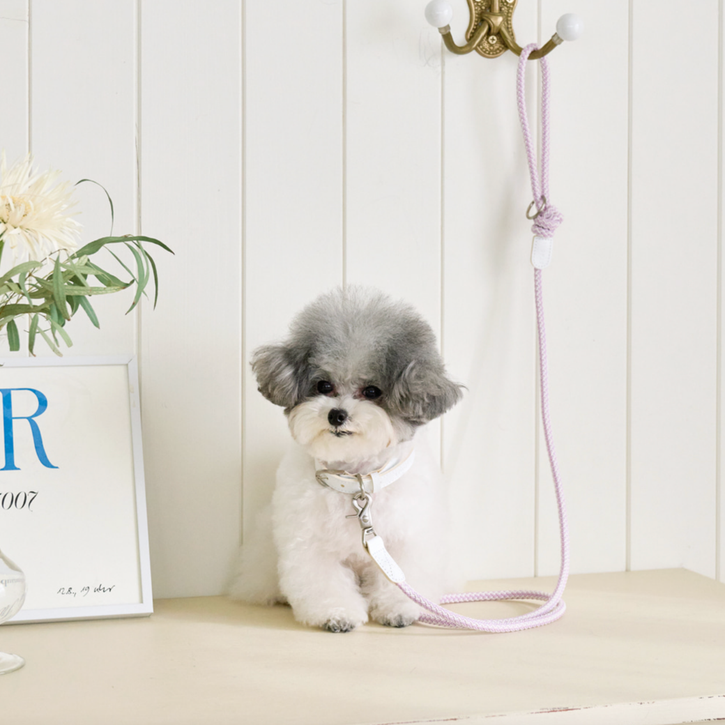 Rope Leash (Lilac)