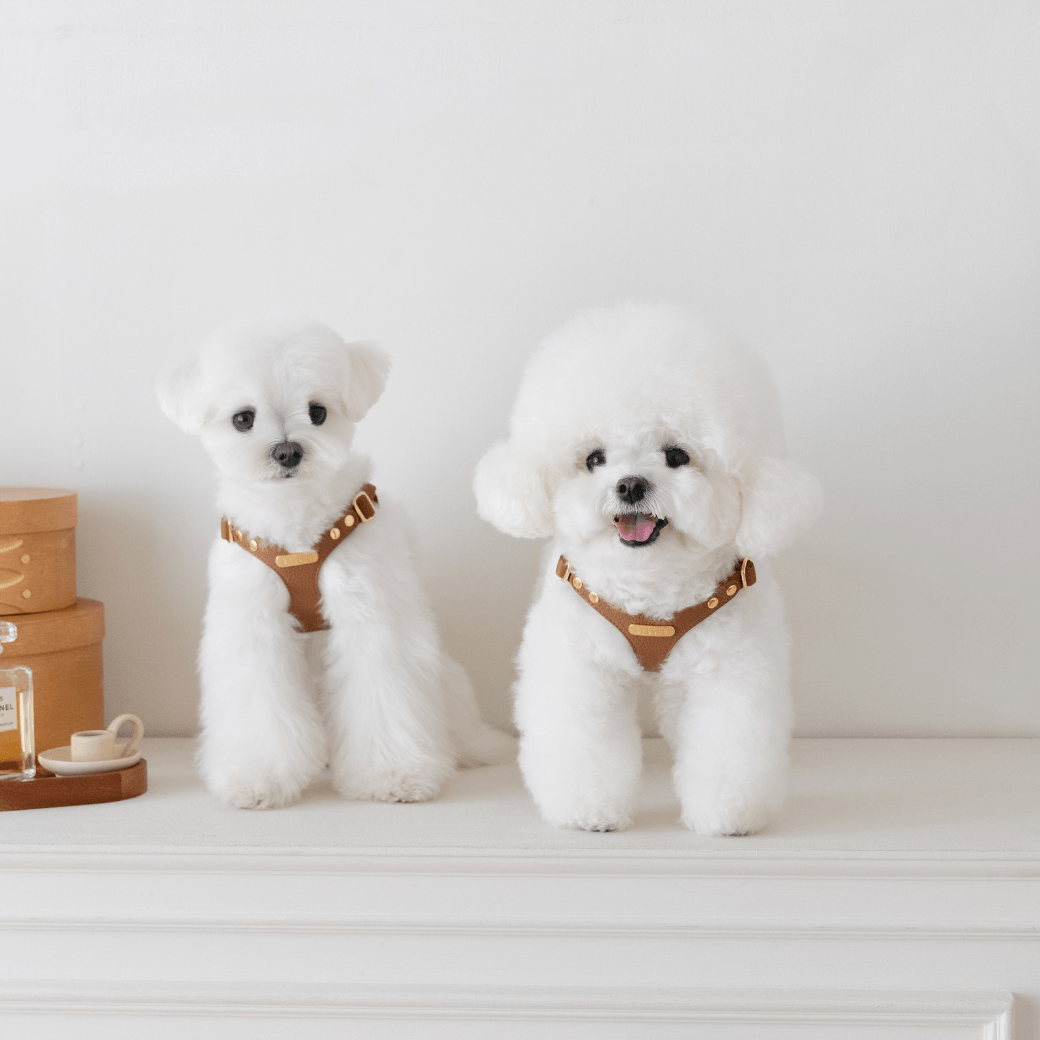 DELIGHT HARNESS(キャメル)