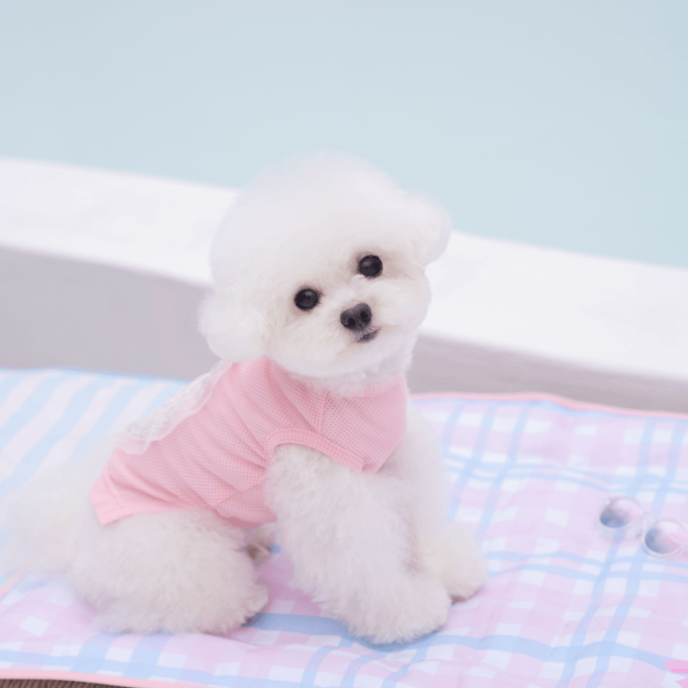 True COOL Ice Mat (Strawberry Bow)