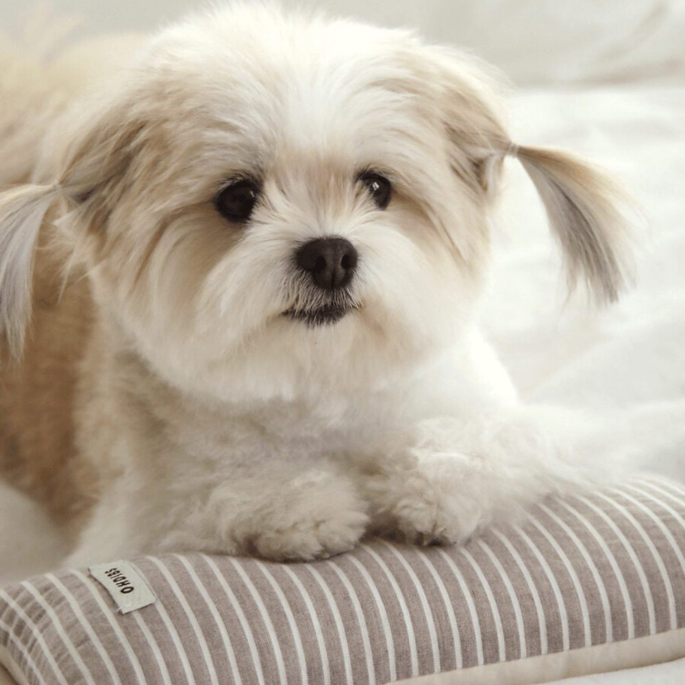 Mini Square Pillow(cocoa)