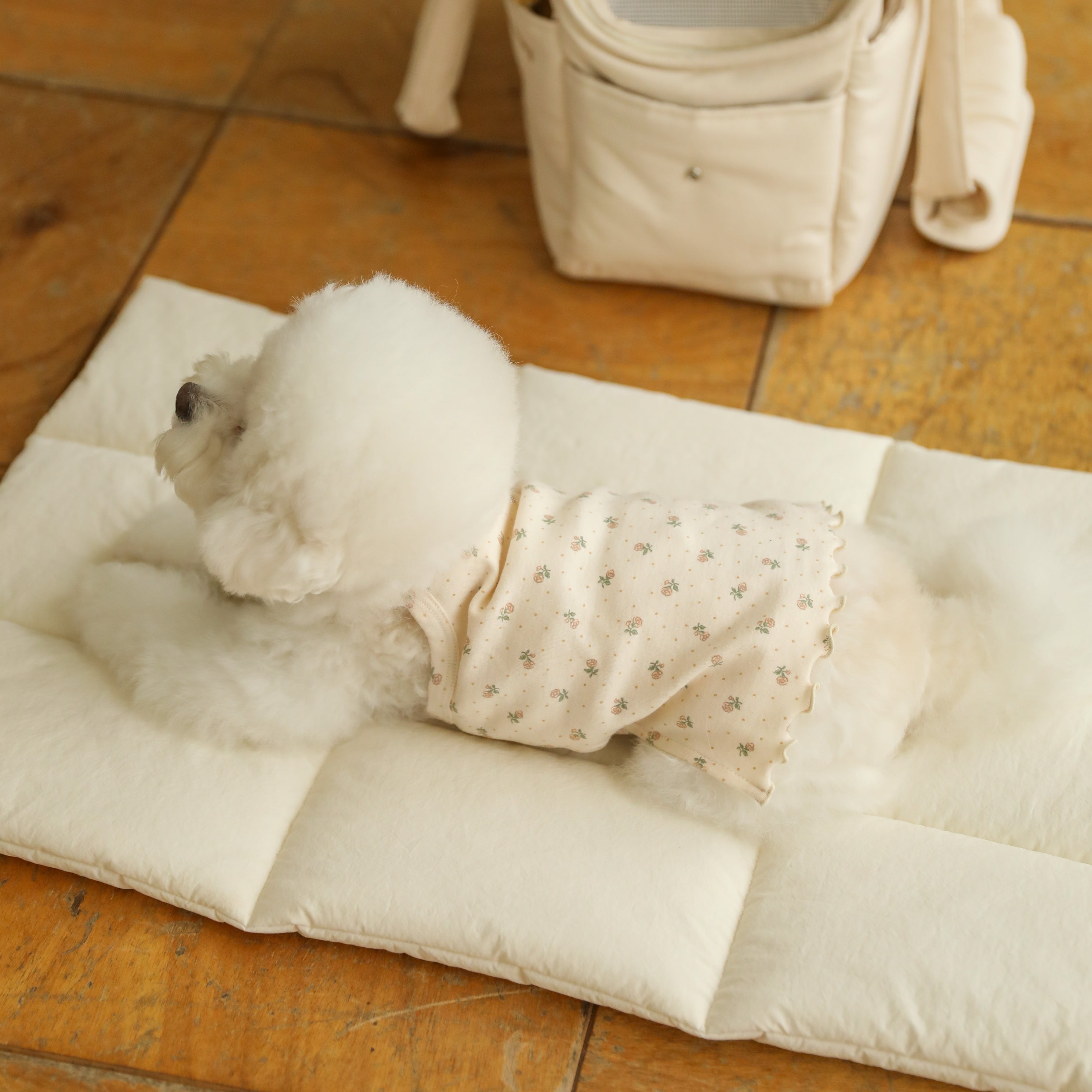 フラワースリーブレストップス(アイボリー)