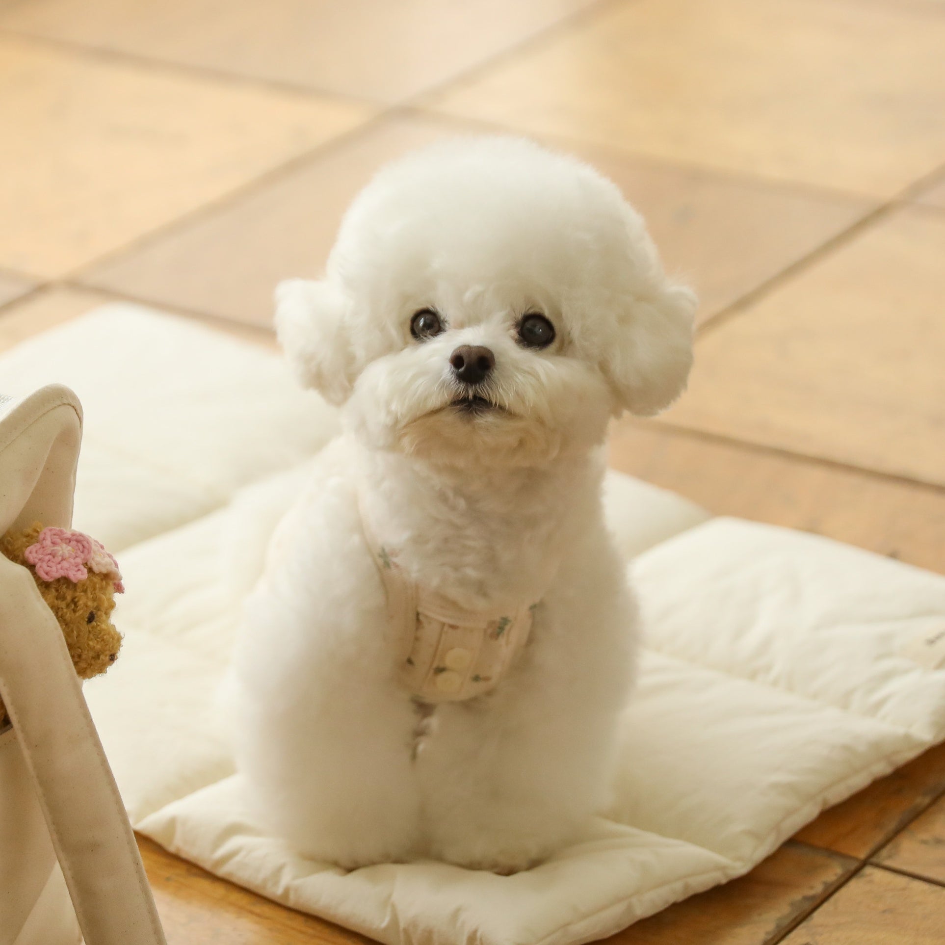 フラワースリーブレストップス(アイボリー)