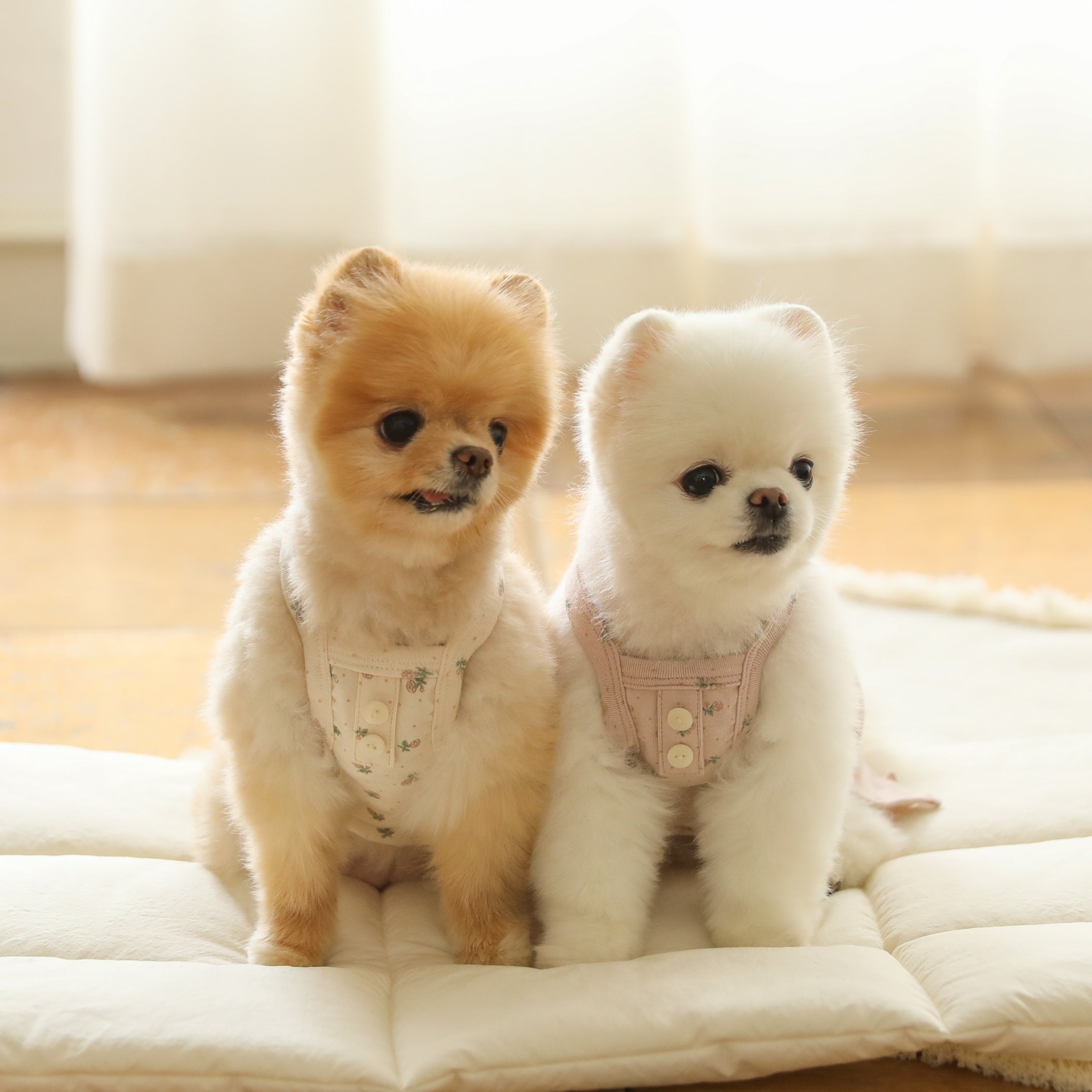 フラワースリーブレストップス(アイボリー)