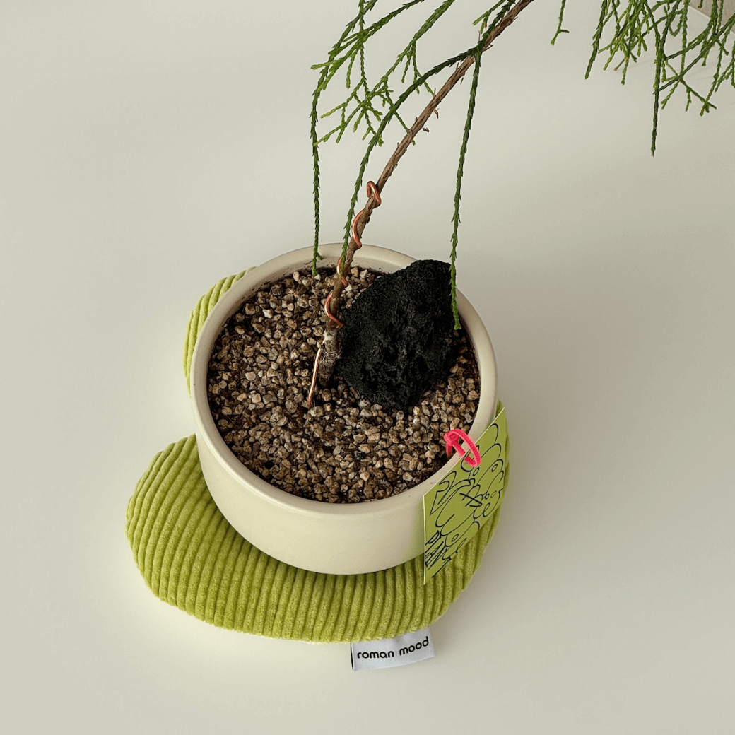 MOOD COASTER (4COLOR)