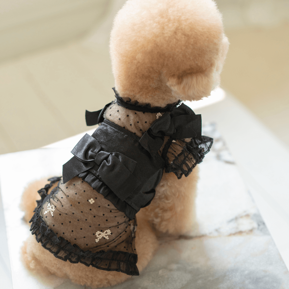 Shiny Ribbon Bustier(Shimmer Black)