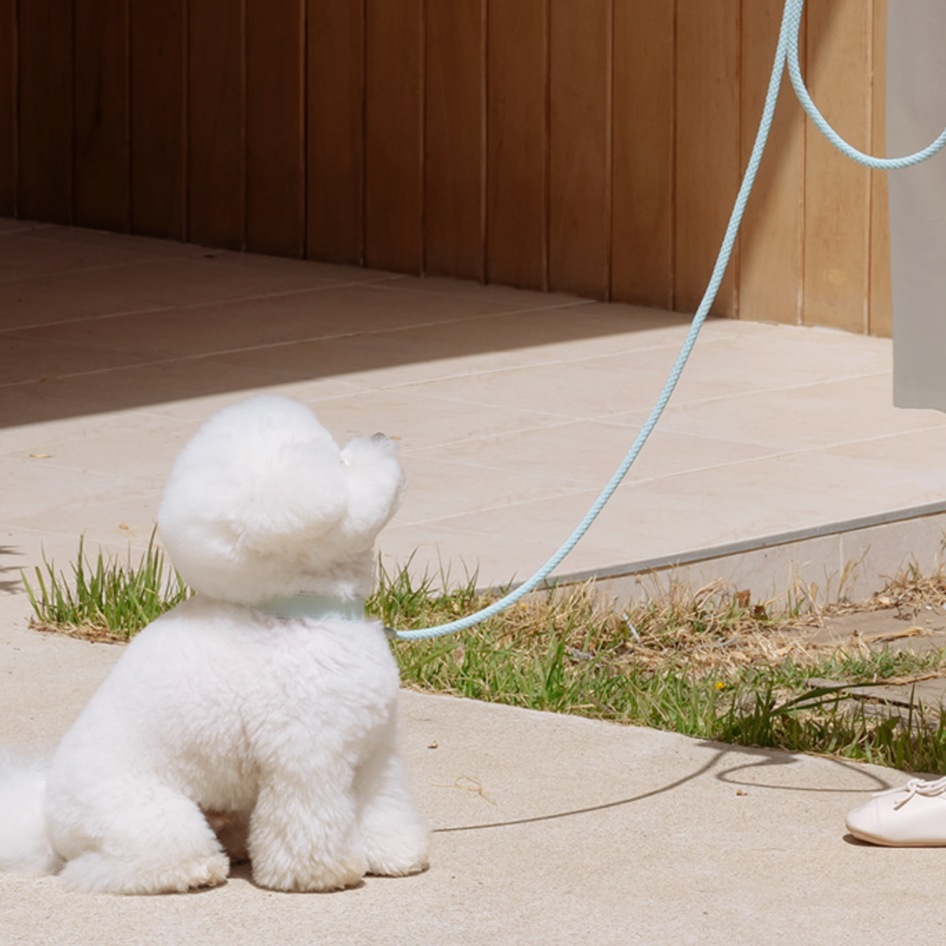 Rope Collar(ミント)