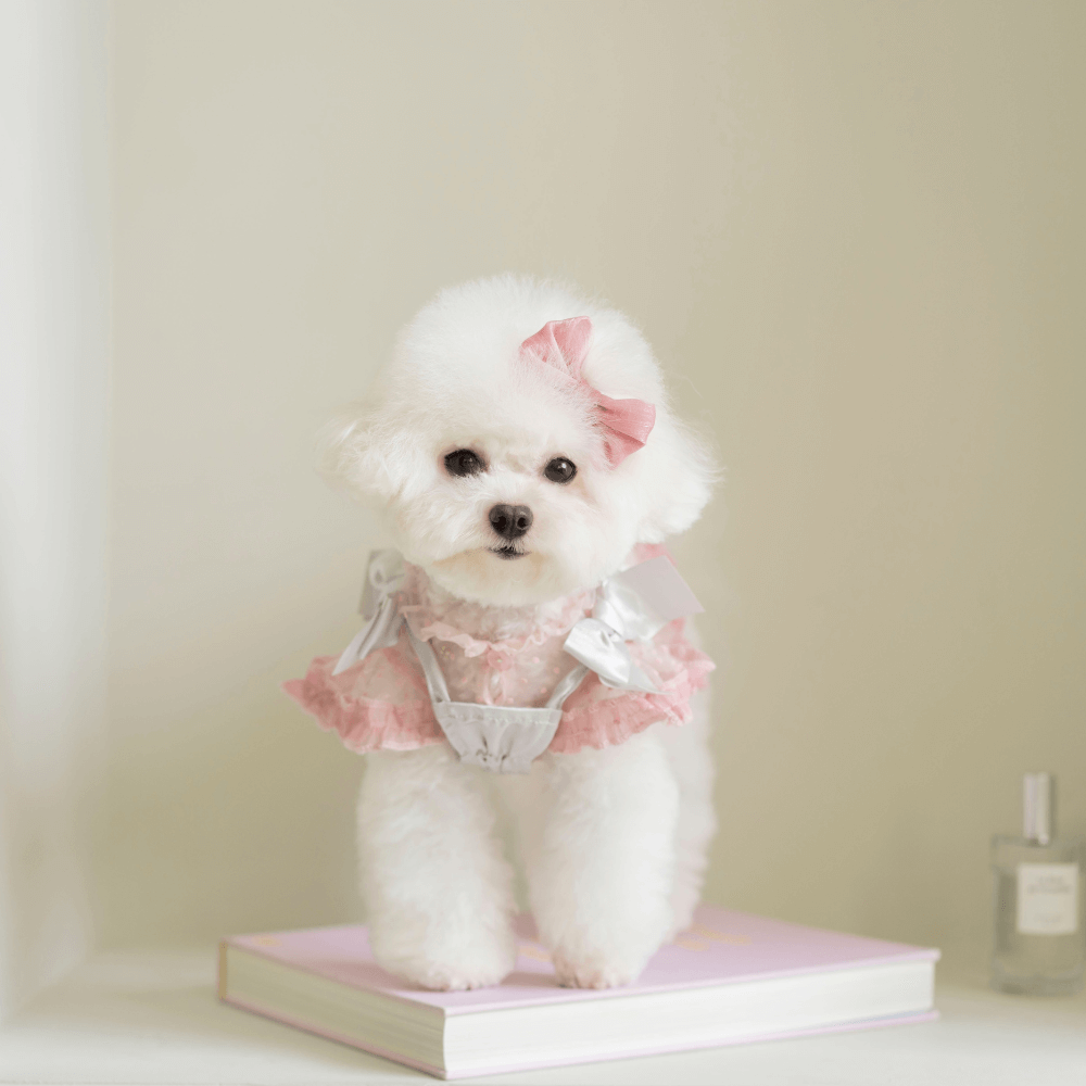 Shiny Ribbon Bustier(Smooth Silver)