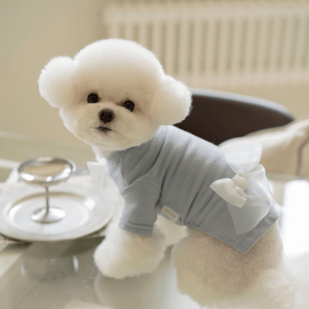 Wool-Like Bow T-shirt (Blue)