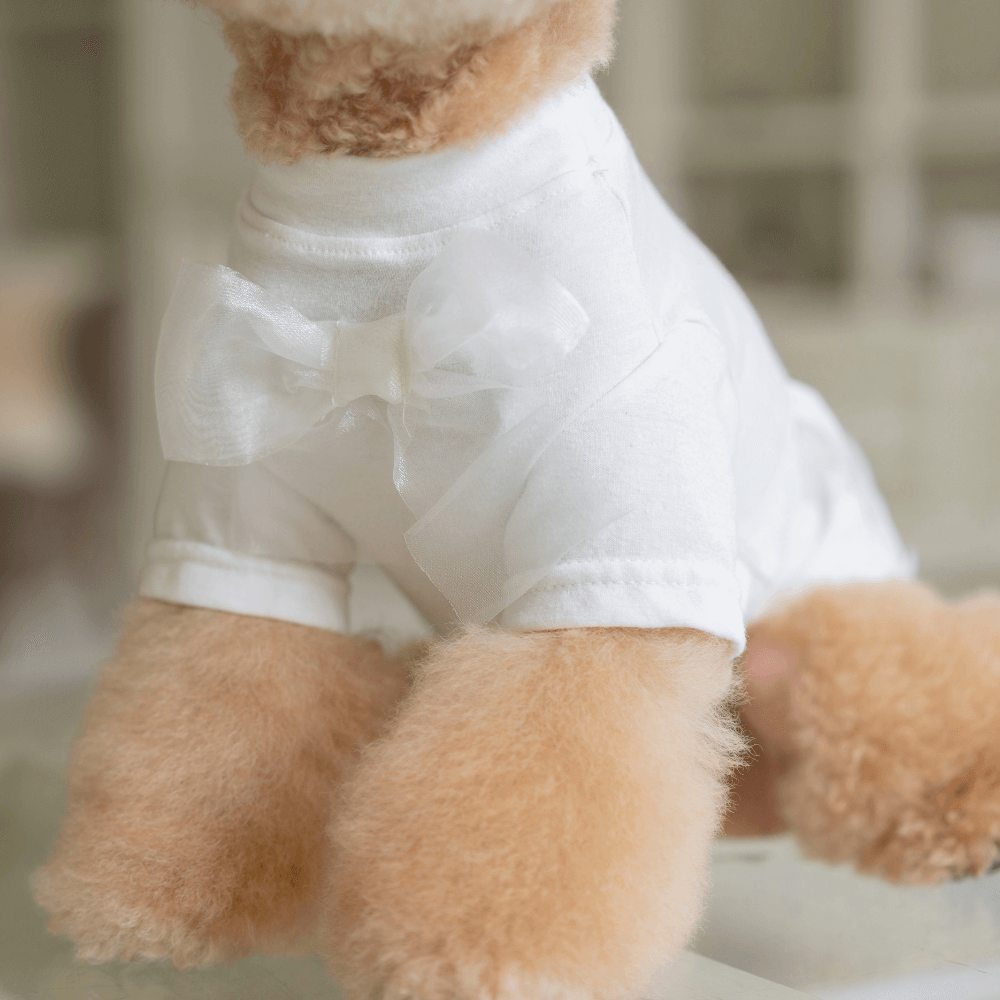 Wool-Like Bow T-shirt (White)