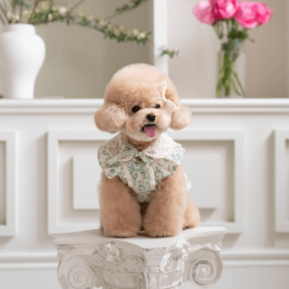 New Greenery Dress(Green)