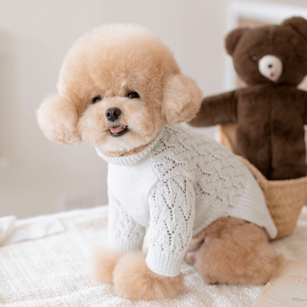 My Little Star Knit(Ice White)
