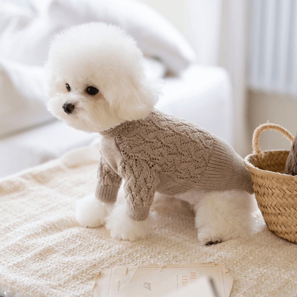 My Little Star Knit(Light Cocoa)