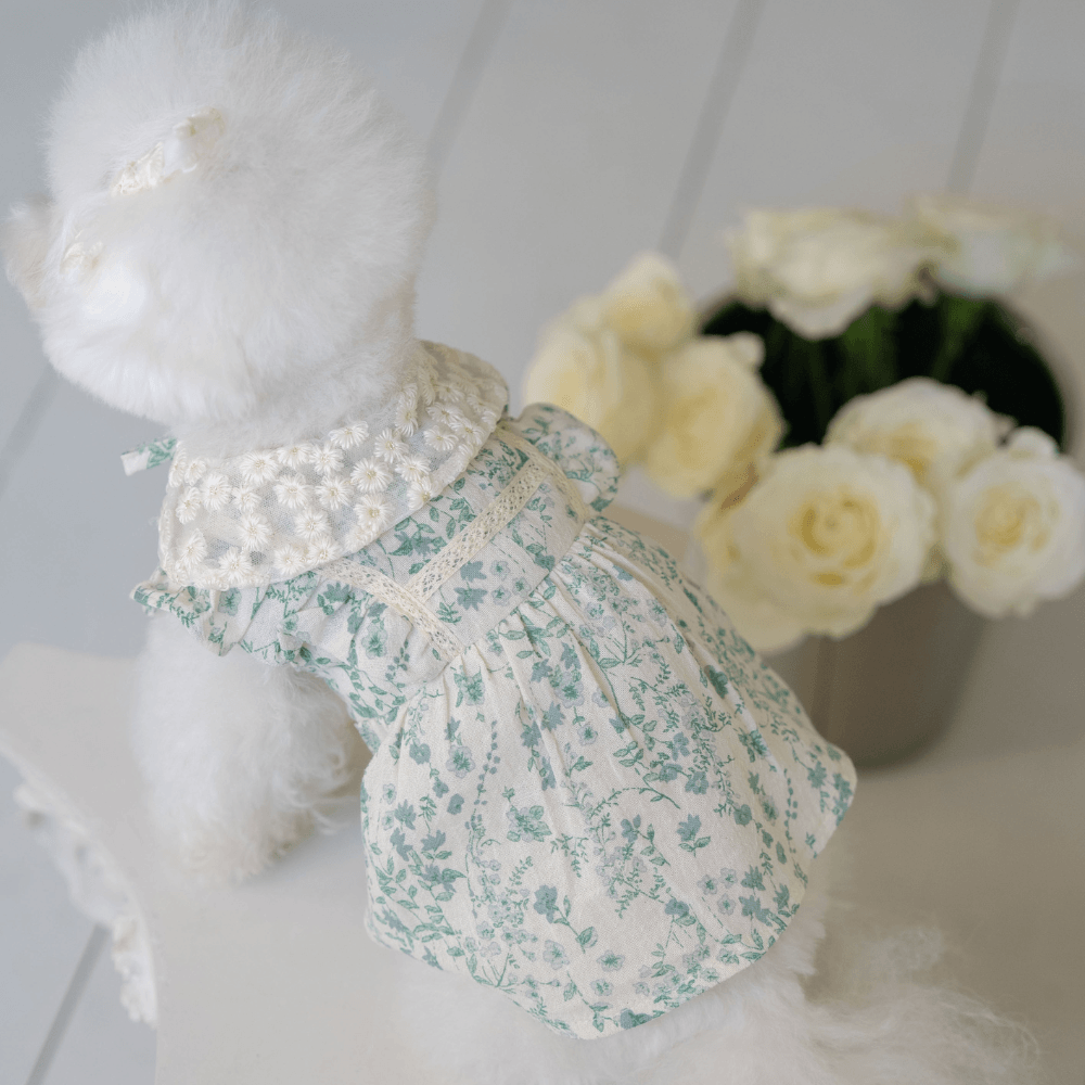 New Greenery Dress(Green)